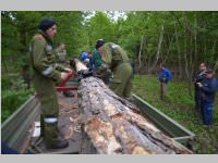 Maibaum der FF Neufeld, 11.05.2013