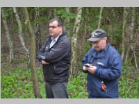 Maibaum der FF Neufeld, 11.05.2013