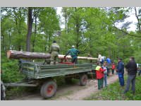 Maibaum der FF Neufeld, 11.05.2013