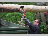 Maibaum der FF Neufeld, 11.05.2013