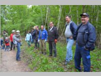 Maibaum der FF Neufeld, 11.05.2013
