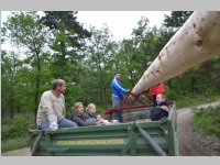 Maibaum der FF Neufeld, 11.05.2013