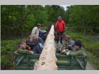 Maibaum der FF Neufeld, 11.05.2013