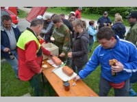 Maibaum der FF Neufeld, 11.05.2013