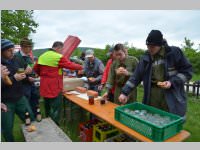 Maibaum der FF Neufeld, 11.05.2013