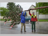 Maibaum der FF Neufeld, 11.05.2013