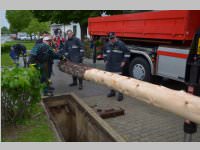 Maibaum der FF Neufeld, 11.05.2013