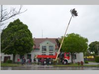 Maibaum der FF Neufeld, 11.05.2013