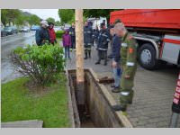 Maibaum der FF Neufeld, 11.05.2013