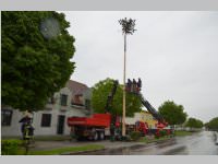 Maibaum der FF Neufeld, 11.05.2013
