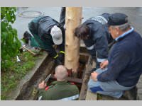Maibaum der FF Neufeld, 11.05.2013