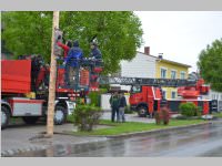 Maibaum der FF Neufeld, 11.05.2013