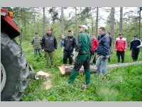 Maibaum der FF Neufeld, 03.05.2014