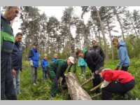 Maibaum der FF Neufeld, 03.05.2014