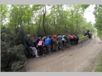 Maibaum der FF Neufeld, 03.05.2014