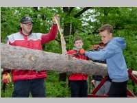 Maibaum der FF Neufeld, 03.05.2014