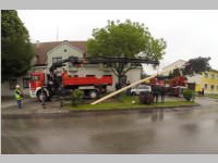 Maibaum der FF Neufeld, 03.05.2014