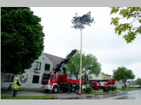 Maibaum der FF Neufeld, 03.05.2014