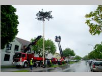 Maibaum der FF Neufeld, 03.05.2014