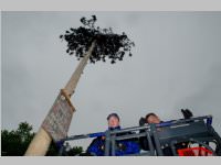 Maibaum der FF Neufeld, 03.05.2014