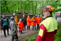 Maibaum der FF Neufeld, 02.05.2015