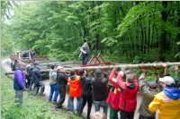 Maibaum der FF Neufeld, 02.05.2015