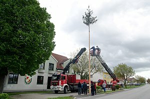 Maibaum der FF Neufeld, 02.05.2015