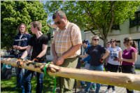 Maibaum der FF Neufeld, 21.05.2016