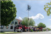 Maibaum der FF Neufeld, 21.05.2016