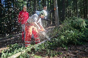 Maibaum der FF Neufeld, 21.05.2016