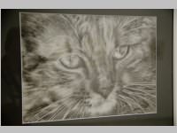 Herbstausstellung vom Knstlerverein Neufeld, 19.09.2014