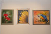 Herbstausstellung vom Knstlerverein Neufeld, 18.09.2015