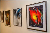 Herbstausstellung vom Knstlerverein Neufeld, 23.09.2016