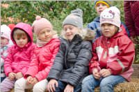 Traktorfahrt zum Erntedankfest im Kindergarten Neufeld, 30.09.2015