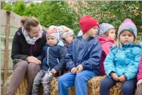 Traktorfahrt zum Erntedankfest im Kindergarten Neufeld, 30.09.2015