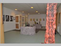 Frhjahrsausstellung vom Knstlerverein Neufeld, 24.05.2013