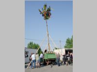Maibaumaufstellung am Mobilheimplatz, 30.04.2014