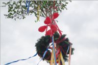Maibaumaufstellung am Mobilheimplatz, 30.04.2015