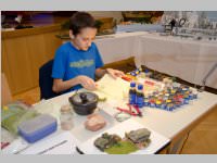 Modellbau-Ausstellung, 08. + 09.11.2014