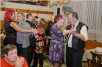 Faschingskrnzchen der VP Neufeld, 06.02.2016