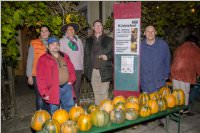 Kürbisschnitzen mit der ÖVP Neufeld, 31.10.2016