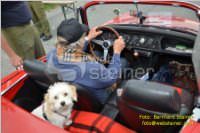 9. Weinstraen Thermenregion Oldtimer-Fahrt, 12.05.2012