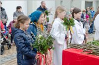 Palmzweigsegnung in Neufeld, 29.03.2015