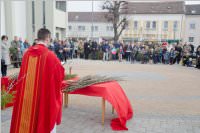 Palmzweigsegnung in Neufeld, 20.03.2016