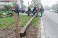 Kirtagbaum der Ratschen Buam, 01.10.2016