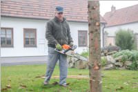 Kirtagbaum der Ratschen Buam, 11.11.2016
