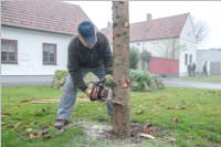 Kirtagbaum der Ratschen Buam, 11.11.2016