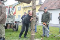 Kirtagbaum der Ratschen Buam, 11.11.2016