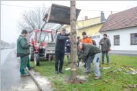 Kirtagbaum der Ratschen Buam, 11.11.2016