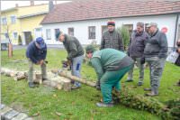 Kirtagbaum der Ratschen Buam, 11.11.2016